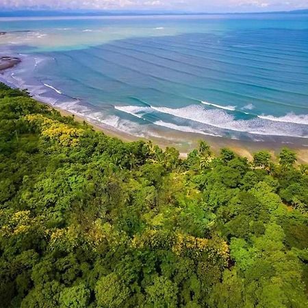 Four Monkeys Eco Lodge Jungle & Beach - The House Cabo Matapalo Luaran gambar