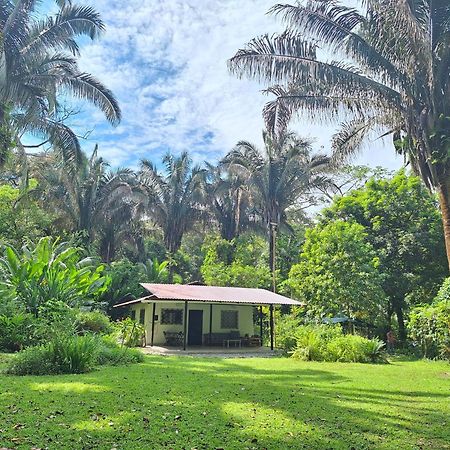 Four Monkeys Eco Lodge Jungle & Beach - The House Cabo Matapalo Luaran gambar
