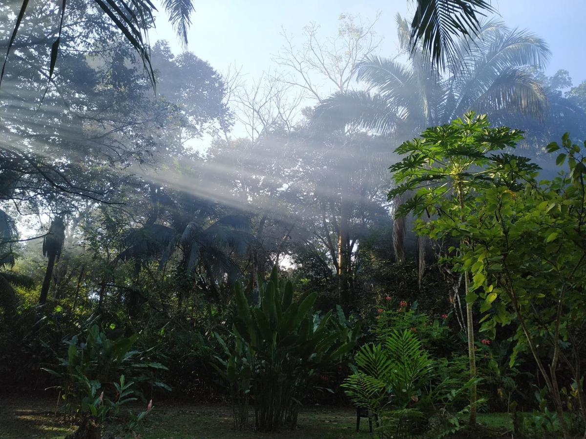 Four Monkeys Eco Lodge Jungle & Beach - The House Cabo Matapalo Luaran gambar