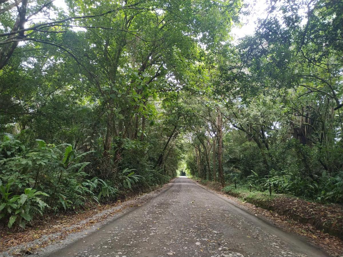 Four Monkeys Eco Lodge Jungle & Beach - The House Cabo Matapalo Luaran gambar