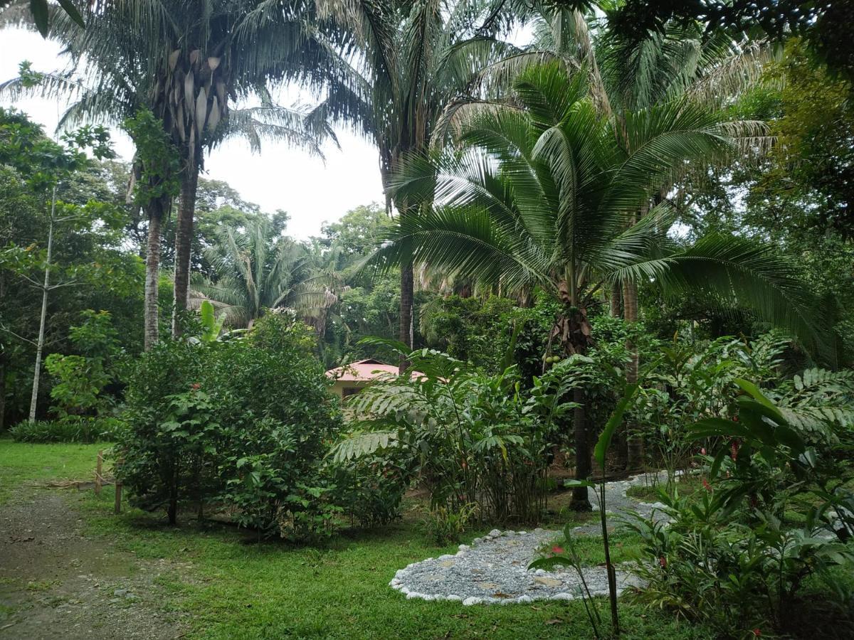 Four Monkeys Eco Lodge Jungle & Beach - The House Cabo Matapalo Luaran gambar