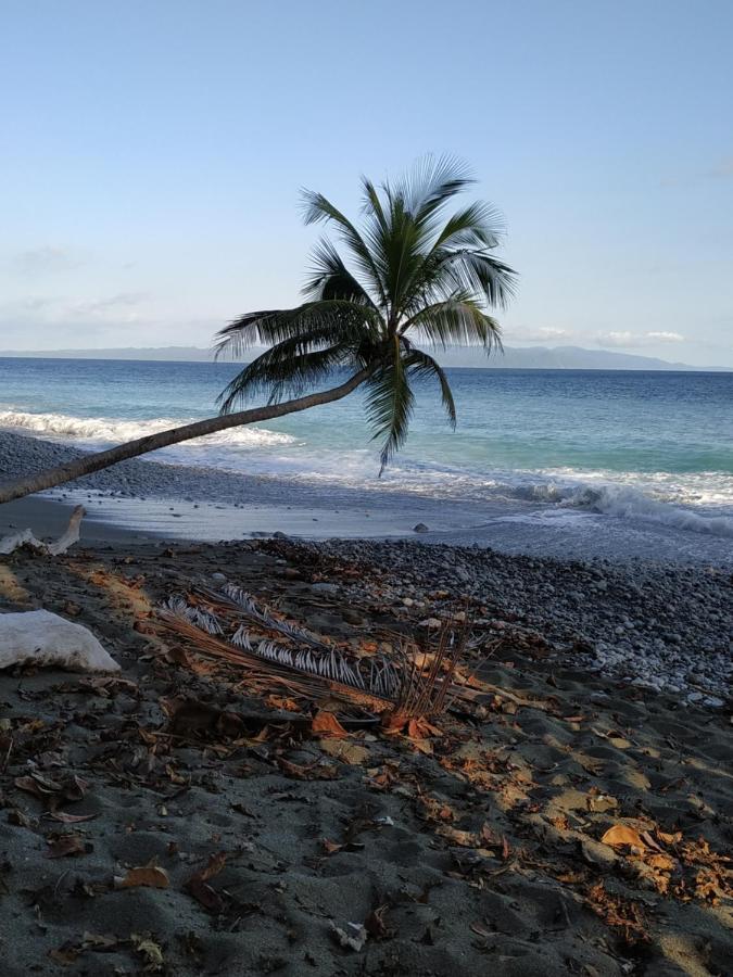 Four Monkeys Eco Lodge Jungle & Beach - The House Cabo Matapalo Luaran gambar