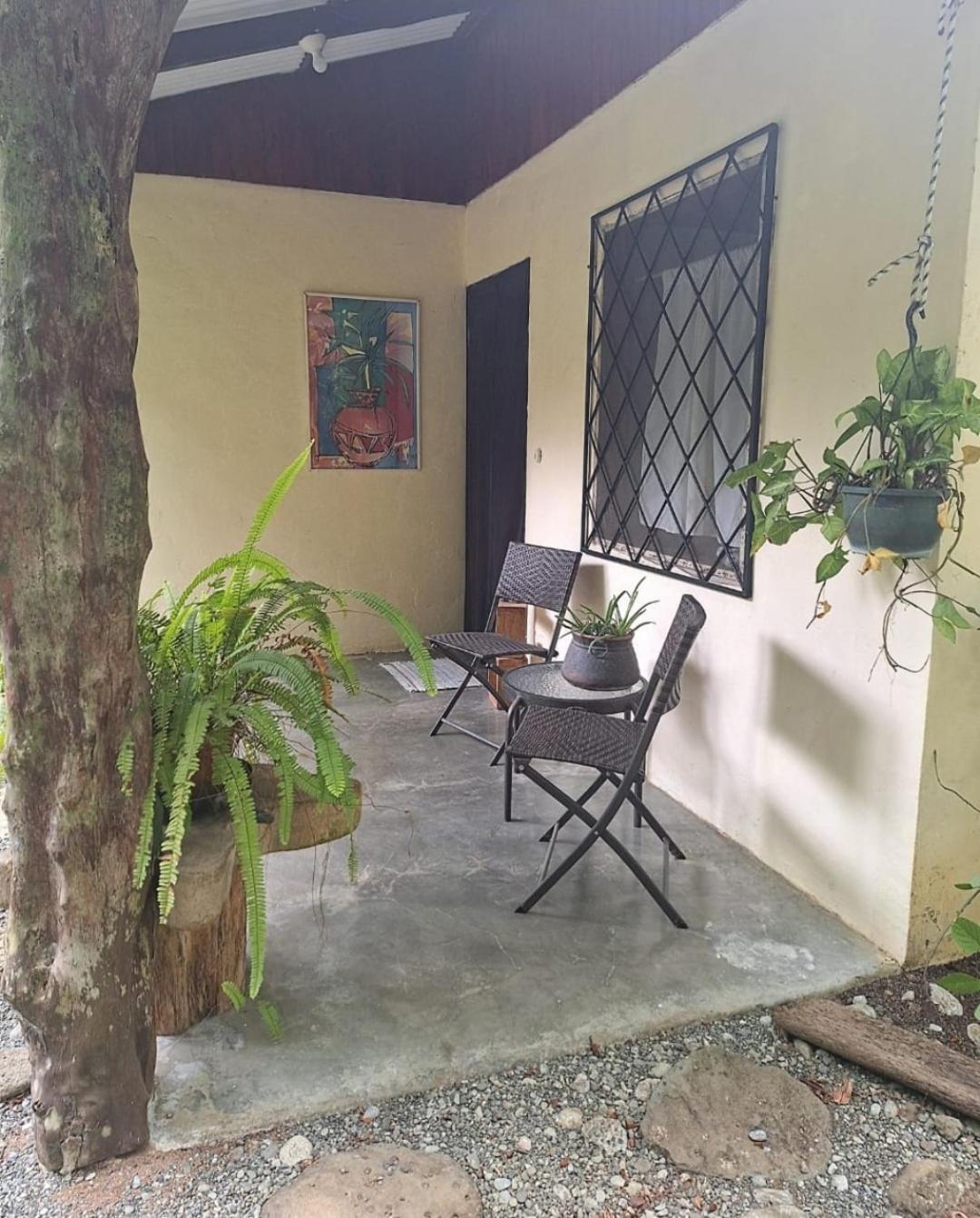 Four Monkeys Eco Lodge Jungle & Beach - The House Cabo Matapalo Luaran gambar