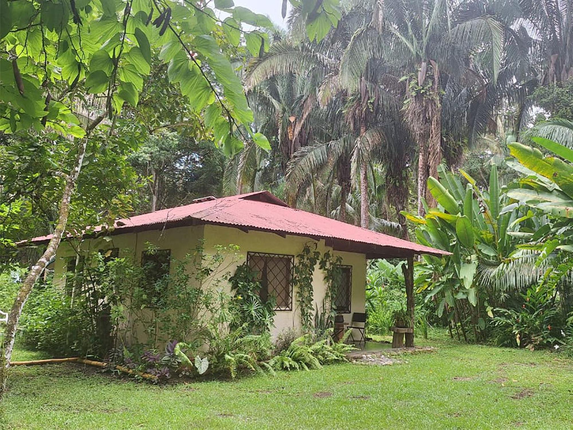Four Monkeys Eco Lodge Jungle & Beach - The House Cabo Matapalo Luaran gambar