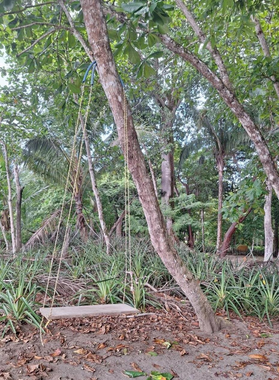 Four Monkeys Eco Lodge Jungle & Beach - The House Cabo Matapalo Luaran gambar