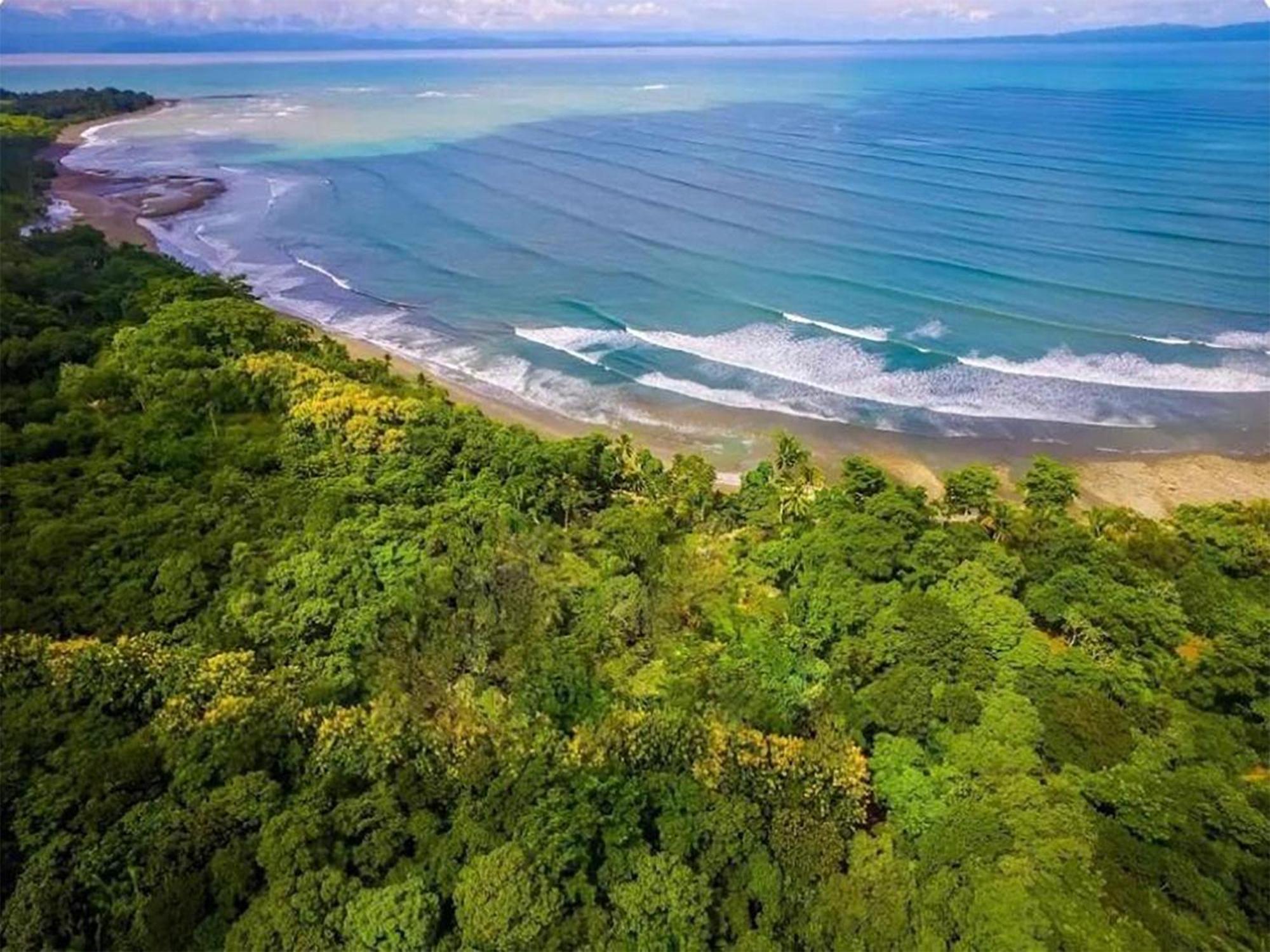 Four Monkeys Eco Lodge Jungle & Beach - The House Cabo Matapalo Luaran gambar