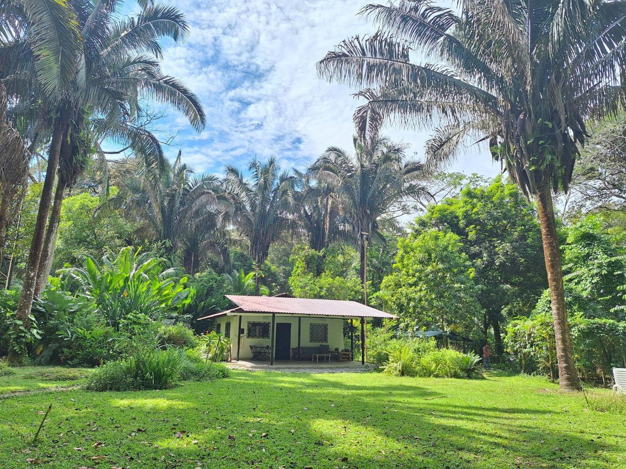 Four Monkeys Eco Lodge Jungle & Beach - The House Cabo Matapalo Luaran gambar