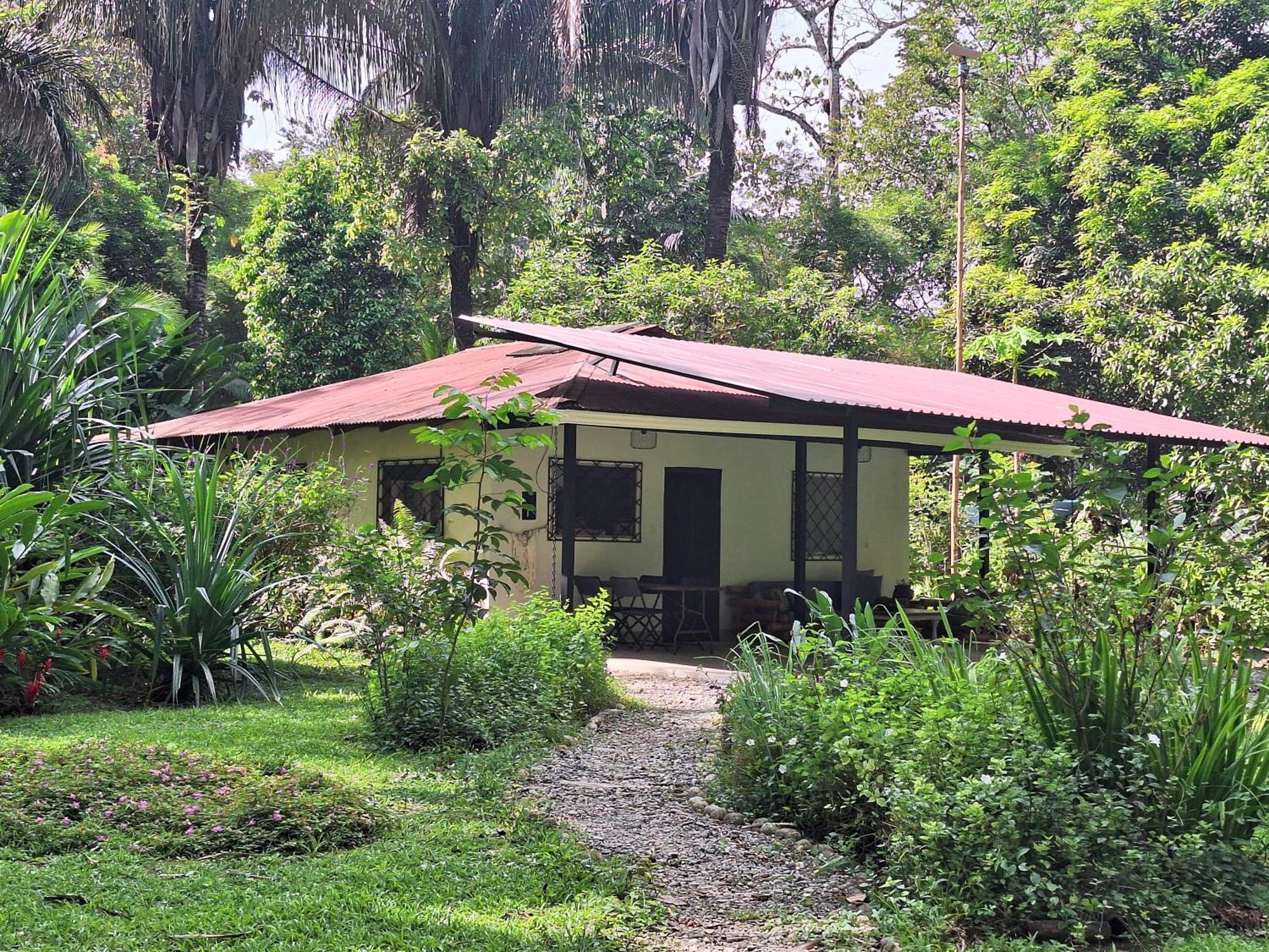 Four Monkeys Eco Lodge Jungle & Beach - The House Cabo Matapalo Luaran gambar